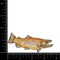 Brown Trout Fish, Realistic Animals, Embroidered, Iron on Patch